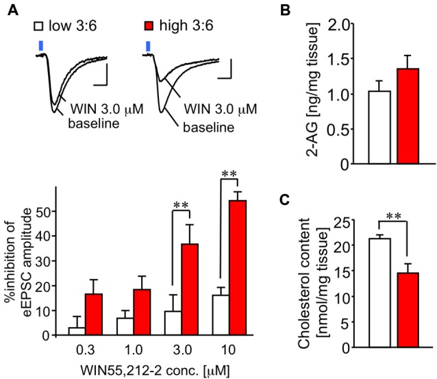 Sensitivity of CB1 receptor for its agonist WIN is enhanced in the LE-EPSC. (A) Representative recordings in individual neurons before (baseline) and after the application of 3.0 μM WIN (top). Reduction of amplitude of synaptic response by various concentrations of WIN (0.3, 1.0, 3.0, and 10 μM; n = 6–7; bottom). Scale: 5 ms and 50 pA. Blue square indicates light irradiation. (B) Content of 2-arachidonoylglycerol (2-AG) in the amygdala-rich brain samples (n = 5 per group). (C) Cholesterol content in amygdala-rich brain slices (n = 6 for each). All data are shown as means ± SEM. Scale: 5 ms and 50 pA. **P < 0.01, one-way ANOVA and post hoc Bonferroni multiple comparison in (A) and Student’s t-test in (C).