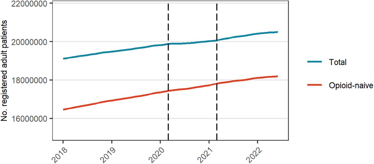 Number of registered adult patients by month during the study period. Opioid-naive is defined as people with an opioid prescription in the past year. Vertical dash lines represent the start of the restriction (Mar 2020) and recovery (Apr 2021) periods.