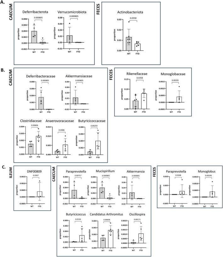 Phylum (A), family (B), and genus (C) changes in the intestinal contents and feces of FTD mice compared to WT mice (p values). Bar graphs illustrating the abundance of individual genera. Summary table available as Data S1.