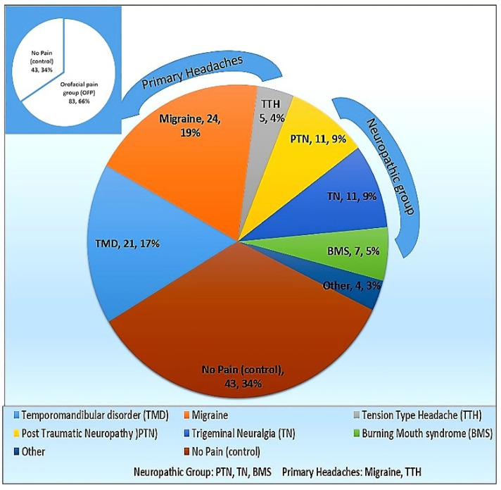 Cohort distribution according to the diagnosis.