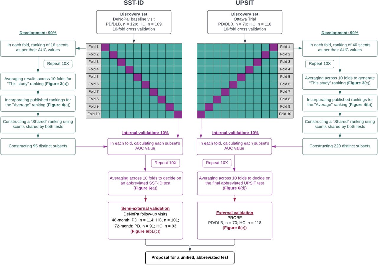 Machine learning workflow for developing and validating an abbreviated smell test.Details of the workflow are as indicated and described in Methods and Result sections of the main text. SST-ID = Sniffin’ Sticks Identification test. UPSIT = University of Pennsylvania Smell Identification Test. DeNoPa = De Novo Parkinson Study. PROBE = Prognostic Biomarkers in Parkinson Disease. HC = healthy control. PD = Parkinson disease. DLB = dementia with Lewy bodies. MSA = multiple system atrophy. PSP = progressive supranuclear palsy. ROC = receiver operating characteristic. AUC = area under the ROC curve.