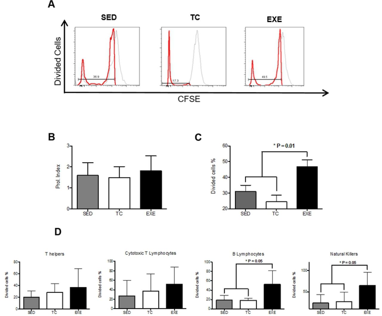 Effect of chronic exercise on splenocyte proliferation.(A) Representative histograms of cytometric analysis of dividing cells. Two parameters were considered to assess the proliferative capacity of splenocytes: (B) the proliferation index, which did not change due to chronic exercise and (C) the proportion of dividing cells, where we observed an increase in the exercised group when compared to both control groups (ANOVA, p=0.0092, n=5). (D) Analysis of proliferative capacity of specific splenocyte subpopulations: T helper lymphocytes (ANOVA, p=0.4543, n=5) and cytotoxic T lymphocytes (ANOVA, p=0.5248, n =6) did not show any change between groups; B lymphocytes (ANOVA, p=0.0006, n=6) and Natural killers (ANOVA, p=0.0191, n=6) from EXE did show an in increase in the proportion of dividing cells when compared to both control groups. In graphic bars SED is represented by shaded bar, TC by white bar and EXE by the solid bar.