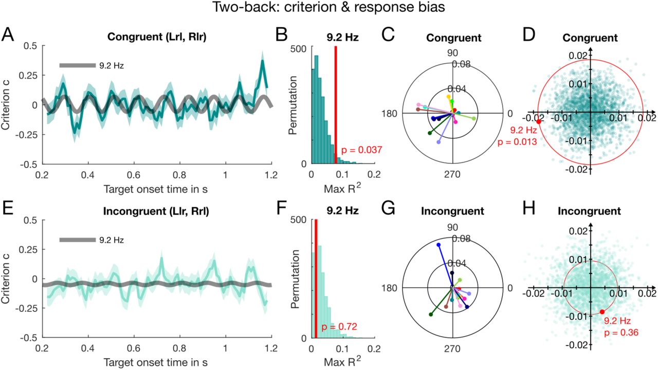 Results of the two-back analysis for criterion with aggregate data. For this analysis, we separated the incongruent data from the 1-back analysis (Figs. 5&6) further into congruent and incongruent 2-back. (A) The dark cyan line shows the binned congruent trials. As in Fig. 4, we smoothed the data for display but conducted all statistical analyses on the non-smoothed data. The error bars indicate ±1 SD obtained by bootstrap (n = 2,000). The dark grey thick line represents the best fitting sinusoid which for the congruent trials was at 9.2 Hz (the frequency was free to vary between 9.1 and 9.6 Hz). The binned incongruent data is shown in (E), fitted with the same frequency, 9.2 Hz. No other frequency in the 9.1-9.6 Hz range fitted better. (B) The R2 obtained at 9.2 Hz (thick red line) was compared against the goodness-of-fit of the shuffled data (dark cyan histogram), binned and fitted as the original data. The test confirmed that the 9.2-Hz oscillation in the congruent data was significant. As shown in (F), the same test for the incongruent condition was not significant. (C) The individual vectors in the congruent condition at 9.2 Hz. The subjects are colour-coded as in Figs. 4&6. Their phases cluster around a similar phase as in the congruent 1-back (Fig. 6B). In contrast, (F) shows the incongruent phase cluster at 9.2 Hz and their mean phase bears no relation to either the congruent or incongruent mean phase in the 1-back (Figs. 6B&D). (D) The result of the 2D permutation test for the congruent condition, which is consistent with the result of the aggregate data analysis shown in (B). The 2D permutation result for the incongruent condition is shown in (H) and also consistent with the result in (F).
