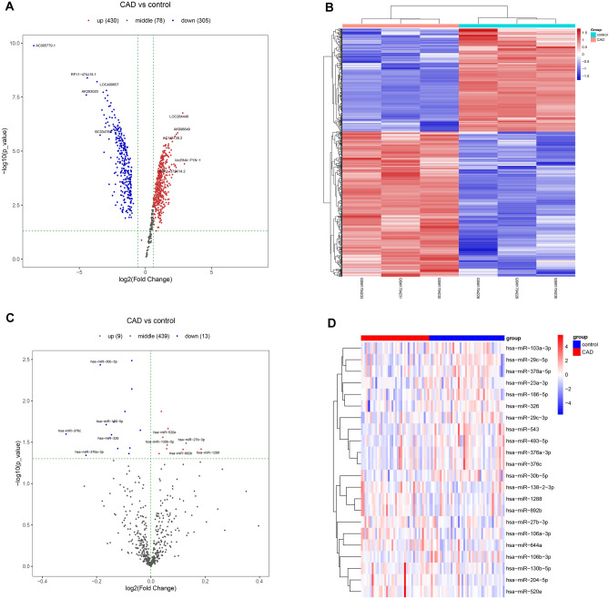 Volcano and heatmap of the lncRNA (GSE69587) and miRNAs (GSE105449). (A, C) were the volcano map in which downregulated genes were represented as blue points and upregulated genes were represented as red points. (B, D) were the heatmaps of lncRNAs and miRNAs in which the downregulated gene is represented by the blue rectangles and upregulated gene is represented by the red rectangles. The screening threshold for significant differences in mRNA, miRNA and lncRNA expression was p < 0.05 and |log2FC| > 0.585 (i.e., FC > 1.5 or FC < 1/1.5).