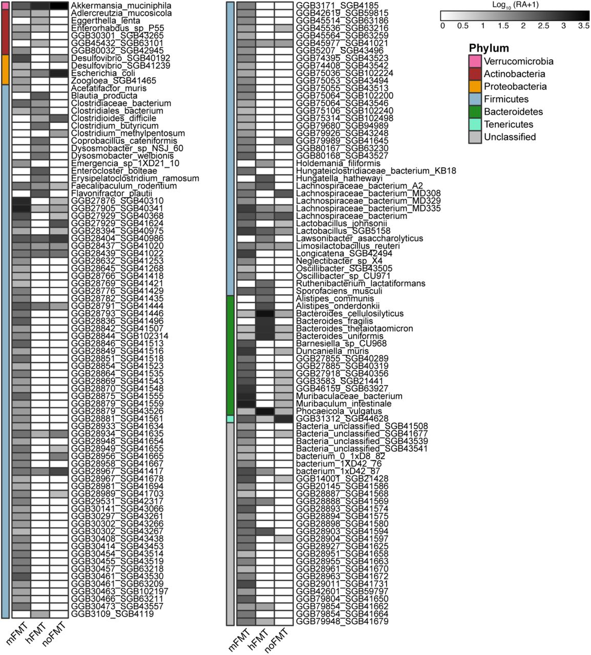 Bacterial genera significantly different in abundance across treatment groups.Mean log10-transformed (CPM + 1) of all bacterial genera significantly different in abundance across treatment groups compared to mice treated with mFMT (based on MaAsLin2; linear model with BH correction, q ≤ 0.01).