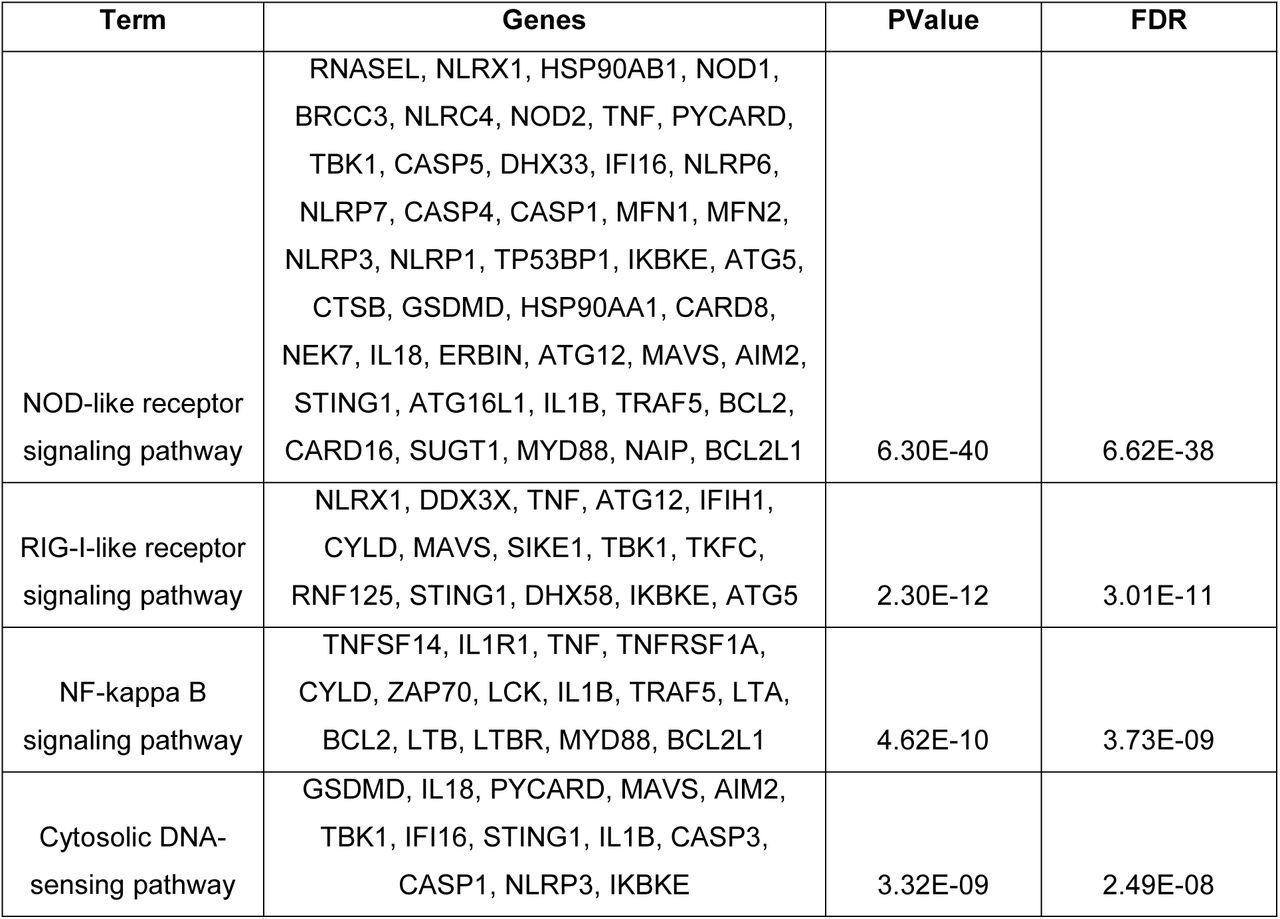 KEGG Pathway enrichment analysis