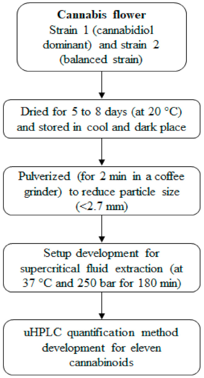 The schematic representation of the cannabis sample preparation and analysis.