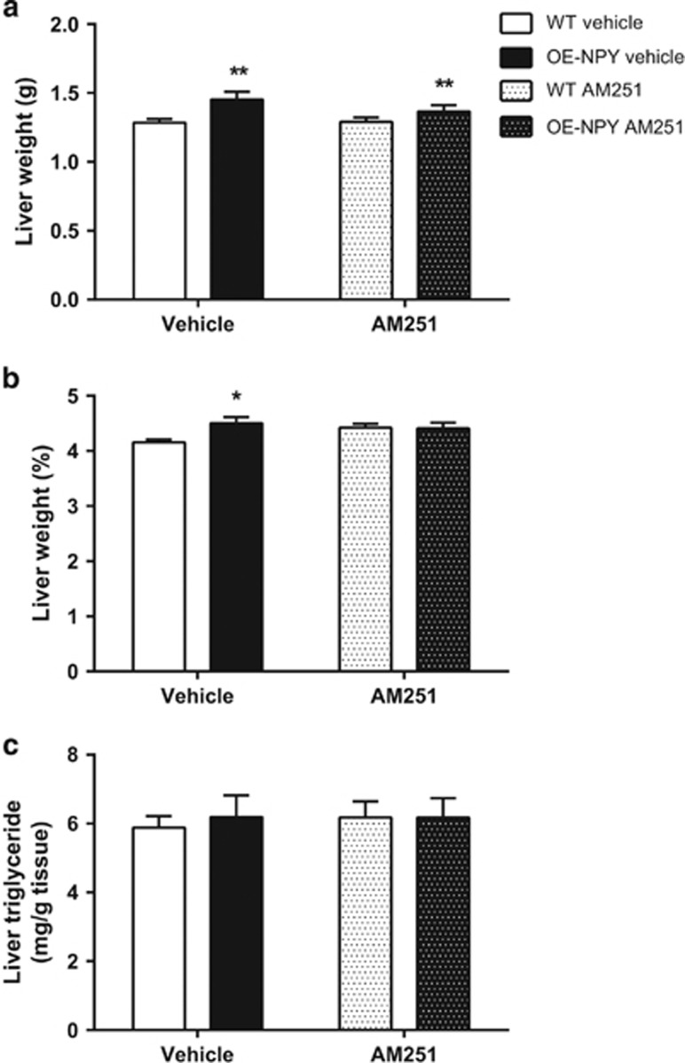 Liver weight and adiposity. Liver weight (a) in grams and (b) as a percentage of total body weight. (c) Liver triglyceride content. Values are expressed as means±s.e.m., n=9-12. White bars=vehicle-treated WT; black bars=vehicle-treated OE-NPYDβH; white dotted bars=AM251-treated WT; black dotted bars=AM251-treated OE-NPYDβH. *P<0.05, **P<0.01 comparing different genotypes within one treatment with two-way ANOVA.