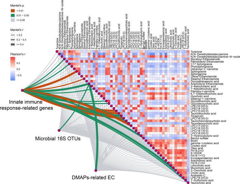 Variations of microbiome with DAMPs-related enzymes and duodenal metabolites have significant relationship with innate immune response-related genes expression. Integrated analysis of multi-omics data was performed using Mantel test. AEA was selected from all the three profiles (Mantel’s p < 0.05 represent significant) (n = 5 rats/group).