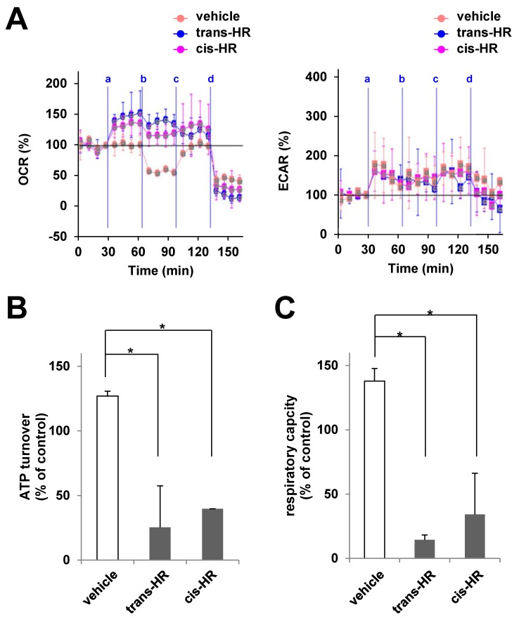 Hinokiresinols modulates 2-AG-induced mitochondrial bioenergetics in microglia.Pure microglia (5 X 105 cells/ml, 150 μl/well) were treated with vehicle or hinokiresinols (HRs; line a), oligomycin (line b), FCCP (line c), and rotenone (line d) at indicated times and the rate of oxygen consumption (OCR, left) and extracellular acidification (ECAR, right) were recorded. (A) Real-time mitochondrial respiration was measured in microglia using the Seahorse analyzer. (B, C) ATP turnover and respiration capacity were calculated based on OCR (A, left panel) and expressed as % of control. The data were normalized in vehicle controls and expressed as mean ± SEM (N = 4–8). * P <0.05: vs. indicated group.