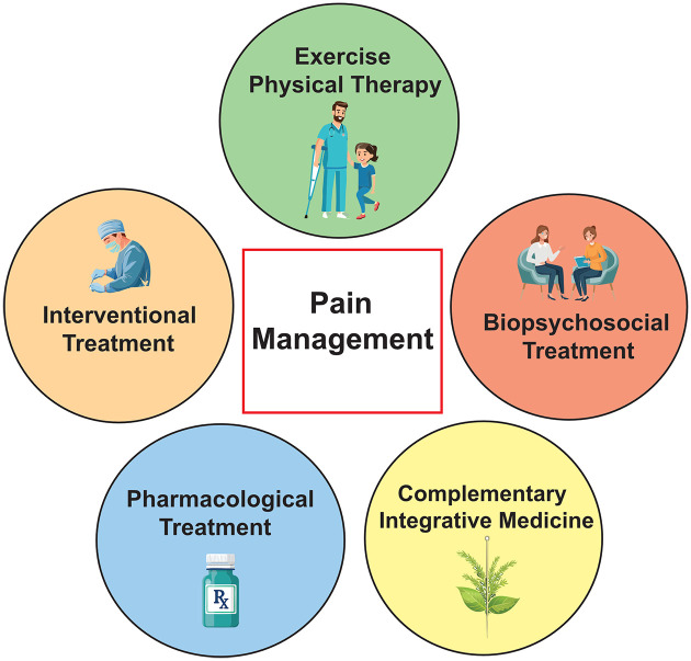 The schematic illustration of the pathway of multidisciplinary pain management.Source: Cartoon images were generated by Adobe Illustrator Generate Vector (beta).