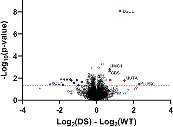 Total proteome comparison of wild-type vs. DS brains. Wild-type male mice (WTm, n = 3) and wild-type female mice (WTf, n = 3) were analyzed together as a single group; DS male mice (DSm, n = 3) and DS female mice (DSf, n = 4) were also analyzed together as a single group