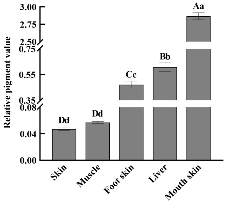 Pigment values in different tissues of Liancheng white ducks. The X-axis represents different tissue types, including skin, muscle, foot skin, liver, and mouth skin; the Y-axis represents the data of relative pigment values of melanin. The Y-axis was broken to allow for visualization of both low- and high-abundance tissues within the same plot. The data are presented as the means ± SD, with error bars representing the standard deviation. Each tissue type contained four pooled biological replicates (n = 4), and each pooled replicate was generated from equal amounts of the same tissue collected from five ducks within one biological replicate group. Mouth skin showed the highest pigment values, followed by liver and foot skin, whereas skin and muscle showed the lowest pigment values. Whereas different uppercase letters indicate significant differences among tissues (p < 0.05), different lowercase letters indicate extremely significant differences (p < 0.01), and the same letters indicate no significant difference (p > 0.05).