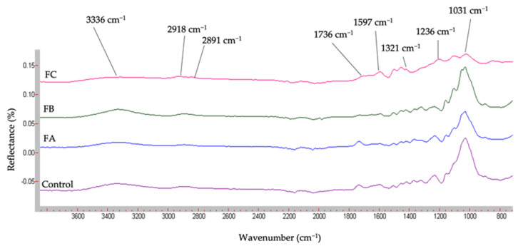 FTIR spectra of samples (Van Soest fractions and control).