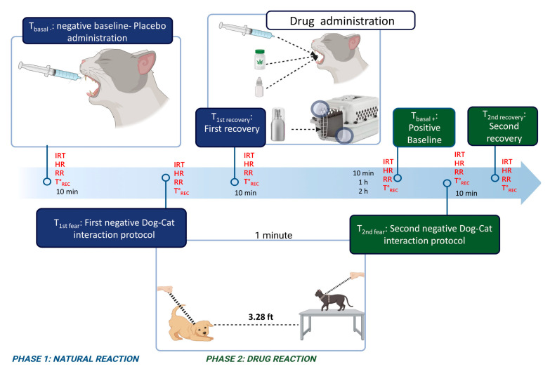 Evaluation Times. A schematic explanation of assessment stages, experimental groups, and response variables. Groups (CONTROL: negative control; CBD: cannabidiol; GABA: gabapentin; SFP: synthetic facial pheromone). Response variables (IRT: infrared thermography; HR: heart rate; RR: respiratory rate; T°REC: rectal temperature). Created in BioRender. https://BioRender.com/k78t117 (accessed on 24 November 2024).