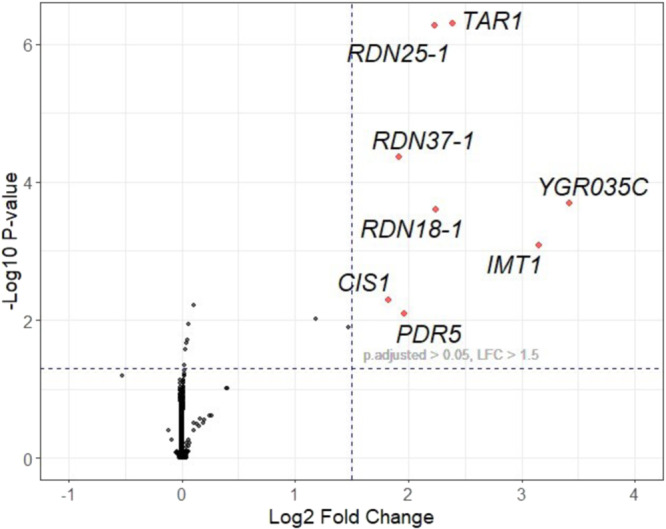 Volcano plot visualization of differential gene expression analysis.Points which are labeled and shown in red represent genes that were identified to have greater than 1.5 log2 fold change (LFC) and an adjusted p-value less than 0.05. Most transcripts were expressed at or near the same level. Eight transcripts exceeded the significance threshold; CIS1, RDN37-1, PDR5, RDN25-1, RDN18-1, TAR1, IMT1, YGR035C.