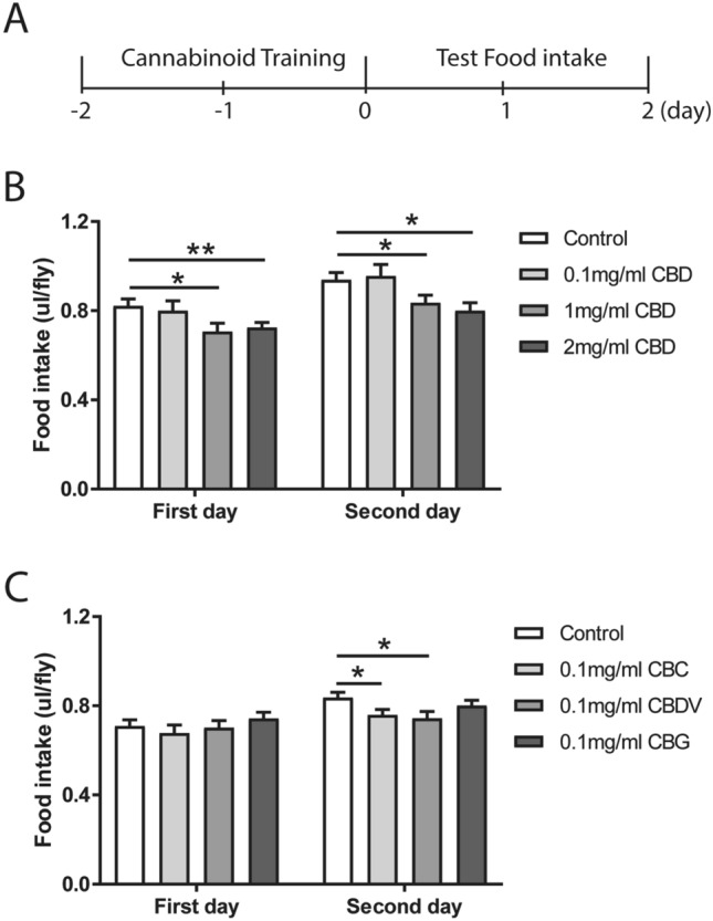Phytocannabinoids reduce food intake in flies. (A) A diagram of the experimental scheme for the food intake assays. Following two days of cannabinoid treatment (day -2 and day -1), the normal food intake by the flies was measured for two consecutive days (day 1 and day 2) as depicted in the histograms (B,C). (B) CBD at 1 mg/ml and 2 mg/ml, but not at 0.1 mg/ml, significantly decreased normal food intake on both day 1 and day 2 (n = 13–19 vials/group). (C) Pre-treatment with 0.1 mg/ml CBC and CBDV, but not with CBG, led to significant reductions in food intake on day 2 (n = 32–33 vials/group). All data are represented as mean ± S.E.M. One-way ANOVA followed by Dunnett’s post-hoc test. *p < 0.05 and **p < 0.01.