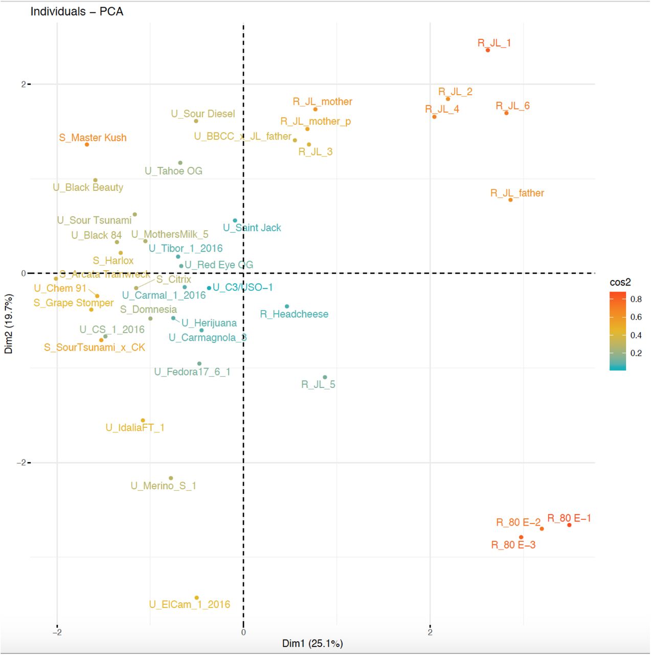A) Principle component analysis (PCA) of the genomic copy number variation of 23 TLPs, 24 MLOs, and 35 chitinase genes, and pathogen-response genes on the CBCA cluster across 40 genomes. Powdery mildew (PM)- resistant varietals cluster together (bottom right, with prefix “R”). PM-susceptible varietals cluster together (top, with prefix “S”), with unknown PM-resistance are labeled with prefix “U”. Note the paternal Jamaican Lion appears more resistant than the maternal genome. Samples are color-coded based on their cos2 score in the PCA analysis.