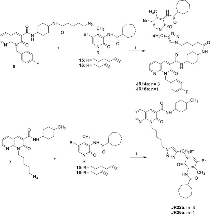 Synthetic pathway for the synthesis of compounds JR14a, JR16a and JR22a, JR26a Reagents and conditions: i) CuSO4·5H2O, sodium ascorbate, DMF/H2O 4:1, 80°C, 2 h.