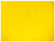 gels-10-00816-i002.jpg