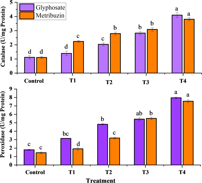 Variation in enzyme activity of Cannabis sativa L. under glyphosate and metribuzin herbicide stress. Data represent mean values (± standard error) of three replicates (n = 3). Treatments are as follows: T1 = X/8, T2 = X/4, T3 = X/2, and T4 = X, where X is 2.47 L/ha for glyphosate and 742 g/ha for metribuzin. Different letters above bars indicate statistically significant differences among treatments for each pigment, as determined by one-way ANOVA followed by Duncan’s multiple range test (p ≤ 0.05)