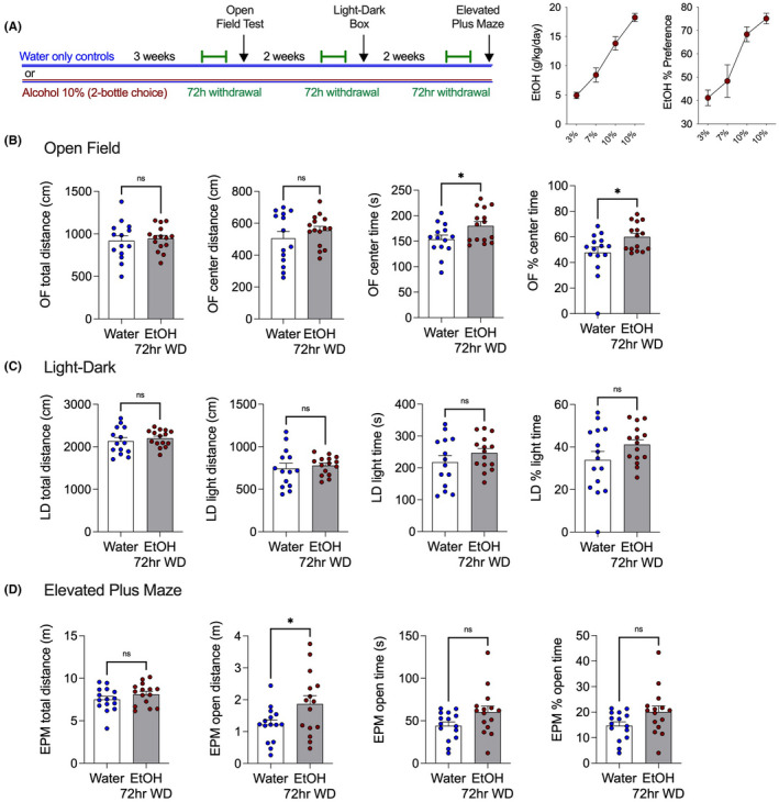 EtOH withdrawal does not increase anxiety‐like behaviors. (A) Schematic of experimental timeline and weekly EtOH intake and preference of alcohol‐drinking mice. (B) Effects of 72 h EtOH withdrawal on open field test. (C) Effects of 72 h EtOH withdrawal on light–dark test. (D) Effects of 72 h EtOH withdrawal on elevated plus‐maze. *p < 0.05, via unpaired two‐tailed t‐test. Data presented as individual female mice and Mean ± SEM, with number of subjects per group as follows: Graphs B water‐only n = 14, EtOH drinking n = 15; graphs C water‐only n = 14, EtOH drinking n = 15. Graphs D water‐only n = 15, EtOH drinking n = 15.