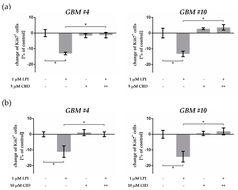 Effects of the endogenous GPR55 ligand lysophosphatidylinositol (LPI). (a) Impact of LPI on the number of Ki67-labelled GBM cells and impact of CBD on LPI effects. Application of LPI (1 µM) led to a decrease of Ki67+ cells in GBM #4 and GBM #10 compared to the control group. As obtained for THC, LPI effects were significantly prevented by a combination with CBD (5 µM), whereas CBD alone had no effects. (b) Impact of GPR55 antagonist CID16020046 (CID) on LPI effects. In the presence of GPR55 antagonist, CID (10 µM) responses to LPI were effectively inhibited. Cells treated with CID alone were unaffected compared to the control group. To block GPR55, CBD and CID were applied 15 min (++) before LPI was subsequently added. Data are means ± SEM of N = 3 independent experiments performed in duplicate. Significance was chosen for p < 0.05. The asterisk denotes significant results regarding the respective measurement indicated with the bar.