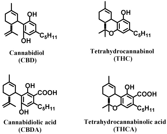 The molecular structures of CBD, THC, CBDA and THCA.