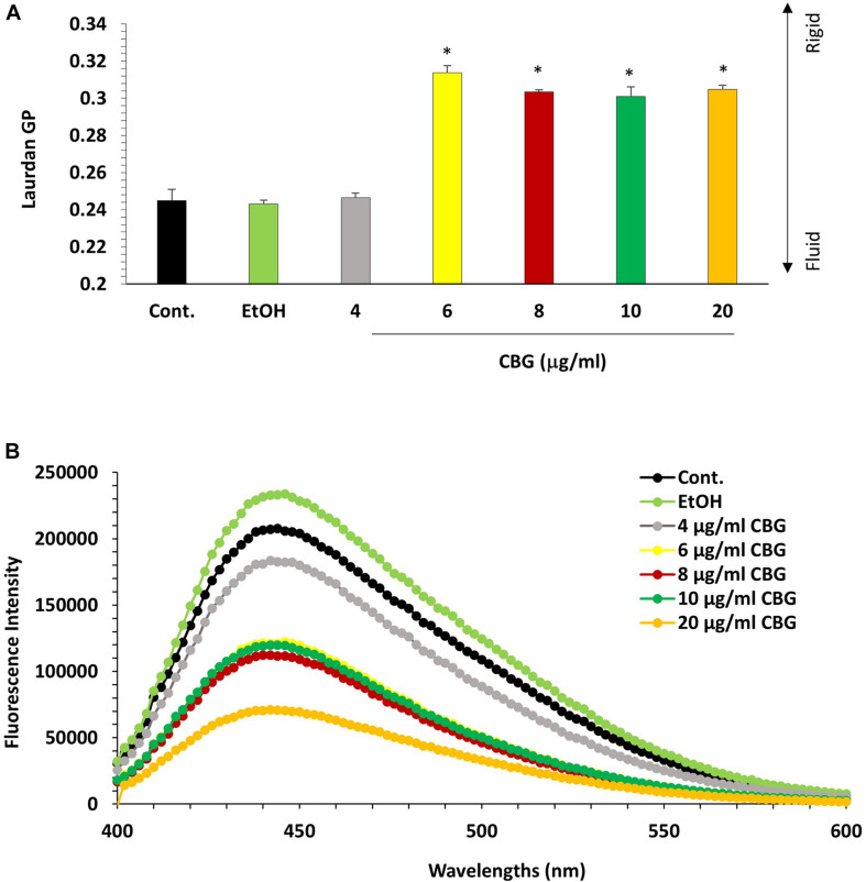 CBG reduces S. mutans membrane fluidity. (A) Laurdan generalized polarization (GP) values in S. mutans treated with various concentrations of CBG (0–20 μg/ml) for 2 h. n = 3; *p < 0.05. (B) Fluorescence intensity scan of laurdan stained S. mutans that have been treated with different CBG concentrations (0–20 μg/ml) or EtOH for 2 h.