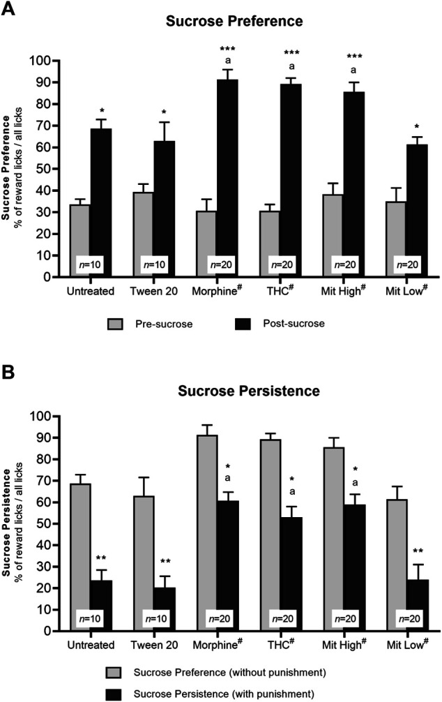 Effects of drug intervention on preference for natural reward (sucrose) and persistence for sucrose seeking. (A) Preference for sucrose reward. The percentage of licks at the natural reward (10% sucrose) corner during the 2-day sucrose phase vs pre-sucrose (*p < 0.05, **p < 0.01, ***p < 0.001 vs pre-sucrose; a: p < 0.05 vs Tween 20; ns = p > 0.05 vs morphine; two-way repeated measures ANOVA with post-hoc Tukey test). (B) Persistence of sucrose seeking. The percentage of reward licks when paired with air-puff punishment measured during the 3-day phase vs without air-puffs. *p < 0.05; **p < 0.01 vs reward licks without punishment; a: p < 0.05 vs Tween 20 (two-way repeated measures ANOVA with post-hoc Tukey). #includes animals from drug only and drug + receptor antagonist groups (i.e., each group n = 10).