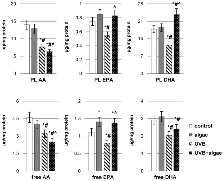 The impact of Nannochloropsis oceanica microalgae extract on the levels of unsaturated phospholipid fatty acids and free fatty acids, including arachidonic acid (AA), eicosapentaenoic acid (EPA), and docosahexaenoic acid (DHA), in various keratinocyte groups: control (n = 5); cultured with algae extract for 24 h (n = 5); irradiated with UVB (60 mJ/cm2) (n = 5); and irradiated with UVB (60 mJ/cm2) and subsequently cultured with algae extract for 24 h (n = 5). Mean values ± standard deviation (SD) and statistically significant differences for p < 0.05 are denoted as follows: *—vs. control group; #—vs. algae group; and ^—vs. UVB group.