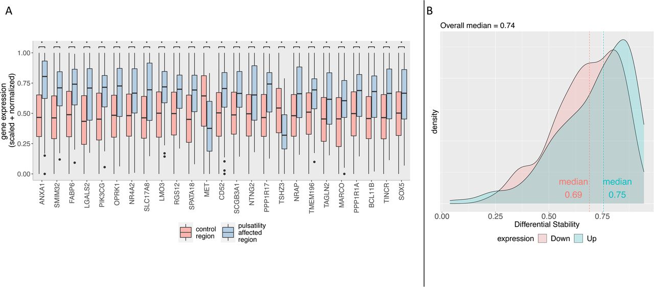 A. Boxplot of top 25 differentially expressed genes, ordered by significance from left to right (increasing p-value from left to right). The bottom and top hinges correspond to the first and third quartiles, with the median shown in the interquartile range (IQR). Whiskers extend to the smallest and largest values within a range of 1.5*IQR from the bottom or top hinge. Values outside the 1.5*IQR range are plotted as individual outliers. All plotted results have FDR corrected p < 0.05 (*). B. Density plot of differential stability values, plotted separately for higher and lower differentially expressed genes.