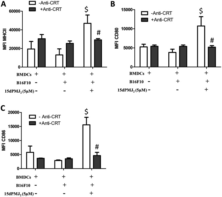 Cell surface calreticulin expression is required for 15dPMJ2-mediated DC activation.(A–C) B16F10 cells were pretreated with or without calreticulin blocking antibody (anti-CRT) and then treated with vehicle (0.1% DMSO) or 5 μM 15dPMJ2. Differentiated DCs were then cultured with or without the B16F10 cells for 24 hours. The expression of (A) MHCII, (B) CD80, and (C) CD86 on the surface of the DCs was measured by conducting flow cytometry analysis. The data were analyzed using one-way ANOVA followed by Tukey’s multiple comparison test and are represented as the mean fluorescence intensity (MFI) ± SEM of three independent experiments. $ p < 0.05, sample compared to DCs cells cultured without melanocytes. # p < 0.05, sample compared to 15dPMJ2-treated co-cultures without anti-CRT.