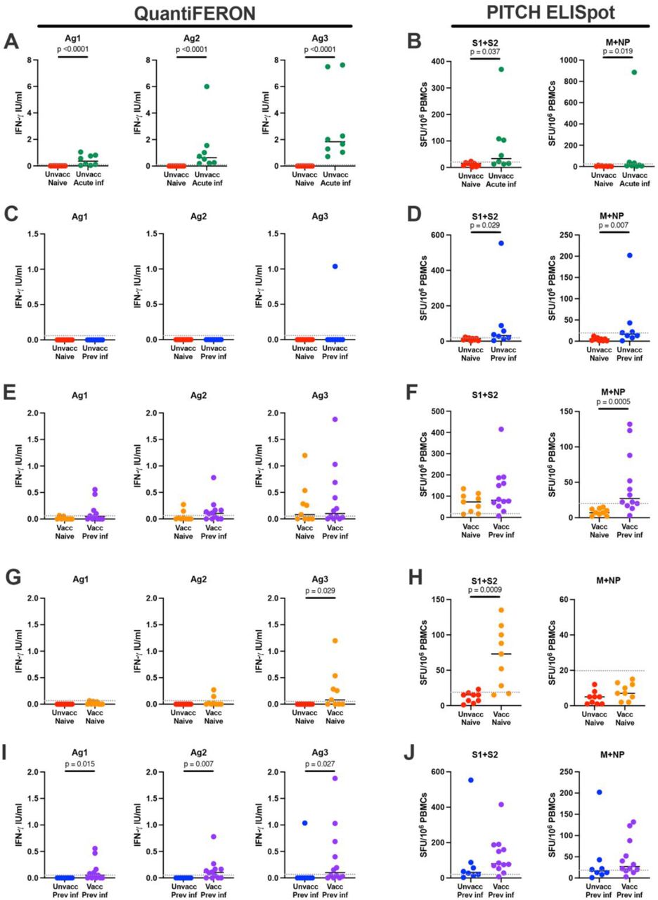 Comparison of T cell responses between indicated groups measured by QuantiFERON and PITCH ELISpot.(A) T cell responses to SARS-CoV-2 in unvaccinated naïve and unvaccinated acute infection using QuantiFERON Ag1, Ag2 and Ag3, and (B) ELISpot S1+S2 and M+NP. (C) T cell responses to SARS-CoV-2 in unvaccinated naïve and unvaccinated previous infection using QuantiFERON Ag1, Ag2 and Ag3, and (D) ELISpot S1+S2 and M+NP. (E) T cell responses to SARS-CoV-2 in vaccinated naïve and vaccinated previous infection using QuantiFERON Ag1, Ag2 and Ag3, and (F) ELISpot S1+S2 and M+NP. (G) T cell responses to SARS-CoV-2 in unvaccinated naïve and vaccinated naive using QuantiFERON Ag1, Ag2 and Ag3, and (H) ELISpot S1+S2 and M+NP. (I) T cell responses to SARS-CoV-2 in unvaccinated previous infection and vaccinated previous infection using QuantiFERON Ag1, Ag2 and Ag3, and (J) ELISpot S1+S2 and M+NP. Unvacc naïve – unvaccinated naïve, n = 9; unvacc acute inf - unvaccinated acute infection, n = 8; unvacc prev inf - unvaccinated previous infection, n = 8; vacc naïve - vaccinated naïve, n = 10; vacc prev inf – vaccinated previous infection, n = 12. Unpaired comparisons between groups were performed using Mann-Whitney test, with statistical significance as p <0.05. Horizontal dotted lines represent the threshold of each assay based on negative assay controls (see Methods).
