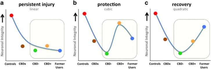 Theoretical models of cannabis-related neurobiological harms. Linear, cubic and quadratic models were tested for each of the three measures of hippocampal integrity. The illustrations are theoretical models of data points that would support each hypothesis of persistence (a), protection (b) and recovery (c). The highlighted window shows the portion of each model to which data from this study contributes new knowledge.