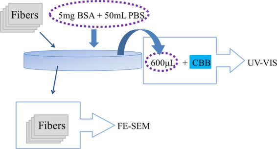 Progress sketch of the BSA adsorbing experiment.