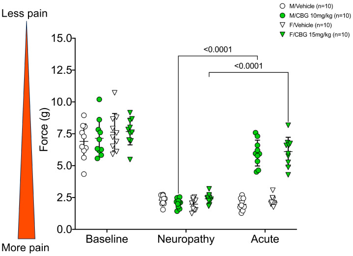Acute effects of cannabigerol on cisplatin-induced mechanical hypersensitivity in males (n = 10 for vehicle and CBG) and females (n = 10 for vehicle and CBG). Von Frey measurements measured 1 h after injection on the first day of injections. 2-way ANOVA with Tukey’s multiple comparisons test. M/Vehicle = males receiving vehicle; M/CBG = males receiving cannabigerol; F/Vehicle = females receiving vehicle; F/CBG = females receiving cannabigerol.