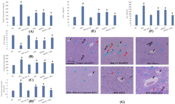 Effect of BAC and AM251 on total cholesterol (A), HDL (B), Triglycerides (C), Coronary risk index (D), LDL (E), and VLDL (F). All values were expressed as mean ± SD whereas, ‘#’ represents P<0.001 vs Normal Control; ‘*’ represents P<0.001 vs HFD-fed group. (G) Reveals the histological architecture of hepatic tissue in diverse groups of treatments. The black arrow shows the central vein. Blue arrow shows the hepatic cords. The red arrow shows swelling of hepatocytes. The green arrow shows the Kupffer cell activation. A black arrow with * shows karyomegaly. Blue arrow with * shows portal infiltration with inflammatory cells. A red arrow with * shows hyperplasia and hyperactivation of the epithelial lining bile duct