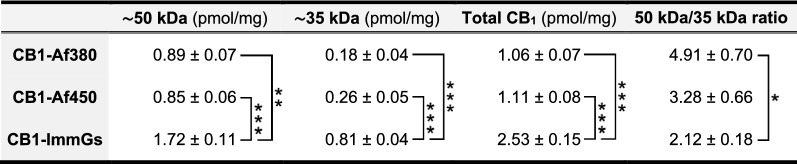 Results of quantitative Western blot analysis performed on P2 membranes of rat brain cortex