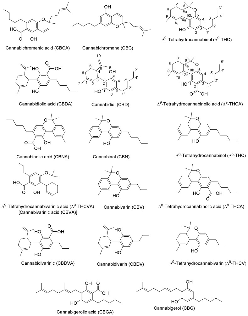 Chemical structure of the main PCs found in C. sativa acting on CB1 and/or CB2 receptors.