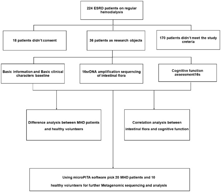 Basic experimental scheme