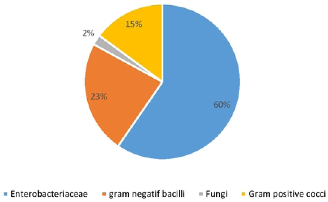 Groups of microorganisms (n=47), multicenter longitudinal survey, Bobo-Dioulasso 2022.