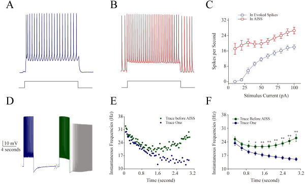 The capability of firing spikes is higher during AISS expression and induction than the evoked spikes. A ~ C) Input–output curves (depolarization intensities versus spike frequencies) are measured under the conditions of the evoked spikes and subsequent AISS expression in GABAergic neurons. A) shows the spikes evoked by a depolarization pulse (100 pA/1 second) at a neuron. B) shows the spikes evoked by this depolarization pulse during AISS expression at this neuron. C) illustrates spikes per second versus stimulus currents under the conditions of control (blue symbols) and AISS expression (red symbols, n = 8). D ~ E) Instantaneous spike frequency (1/inter-spike interval) are measured in the spike trains of inducing AISS from the first train and the train just before AISS onset in GABAergic neurons. D) shows the spikes evoked by a depolarization pulse (150 pA/3 second) in the first train (blue trace) and the train just before AISS onset (green trace), as well as AISS expression (gray trace) at a neuron. Calibration bars are 10 mV and 4 seconds. E) shows instantaneous spike frequency versus time for the spikes induced in the first train (blue symbols) and in the train just before AISS onset (green symbols) at this cell. F) Statistical analysis shows instantaneous spike frequency versus time for the spikes induced in the first train (blue symbols) and in the train just before AISS onset (green symbols, asterisks, p < 0.01, n = 29 neurons).
