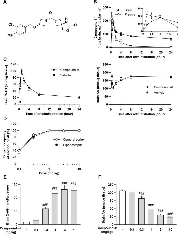 Pharmacokinetics and pharmacodynamics of compound 4f in mice.(A) Chemical structure of compound 4f. (B) Concentrations of compound 4f in the plasma and brain samples following oral administration of 1 mg/kg. Mean ± standard deviation (SD), n = 4. The inset graph indicates the compound 4f concentration up to 2 h. (C) Brain 2-arachidonoylglycerol (2-AG) and arachidonic acid (AA) levels determined at the indicated time points in brain hemispheres. Compound 4f was administered orally at 1 mg/kg. Mean ± SD, n = 4. (D) Occupancy rate of compound 4f in the hippocampi and cerebral cortices of mice 1 h after oral treatment. Compound 4f at 0.03, 0.1, 0.3, 1, and 10 mg/kg was administered orally followed by the administration of T-211 after 0.5 h. The target occupancy of compound 4f at 10 mg/kg was determined as 100%. Mean ± SD, n = 3. (E–F) Brain 2-AG (E) and AA (F) levels. Compound 4f at 0.03, 0.1, 0.3, 1, and 10 mg/kg was administered orally to mice. Mean ± SD, n = 3. ###P ≤ 0.001 compared to vehicle-treated mice (Williams’ test). 2-AG, 2-arachidonoylglycerol; AA, arachidonic acid; KA, kainic acid; SD, standard deviation.