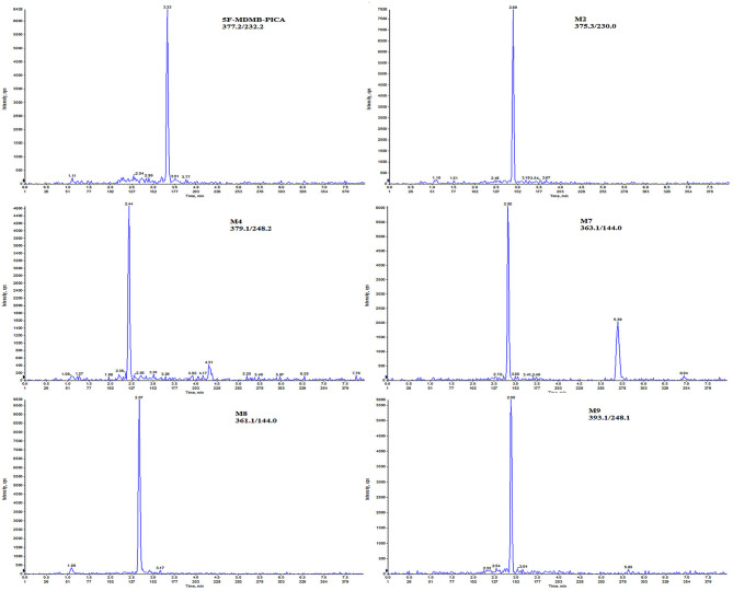 Chromatograms of 5F-MDMB-PICA and its metabolites extracted from human hair at the LLOQ (I pg/mg for 5F-MDMB-PICA, M2, M9; 2 pg/mg for M4, M7; and 5 pg/mg for M8).
