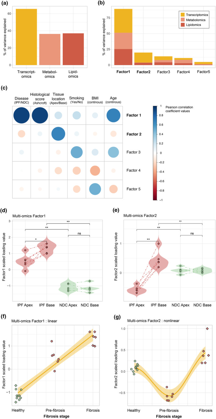 Unsupervised multi‐omics data integration using Multi‐Omics Factor Analysis (MOFA) and association with clinical covariates. (a) Cumulative proportions of total variance explained by each omics dataset. (b) Total variance explained by each omic view by individual factors. (c) Correlations between MOFA factors and clinical covariates with significant Pearson correlation coefficients (P‐value < 0.05) represented in a colour scale from red (negative correlations) to blue (positive correlations). (d) Violin plots of MOFA Factor1 values comparing disease groups and lung tissue location. (e) Corresponding violin plots for MOFA Factor2 values. (f) Factor1 values in relation to fibrosis stage proxy (non‐diseased controls (NDC), idiopathic pulmonary fibrosis (IPF) apex and IPF base) with lm fitting. (g) Factor2 values in relation to fibrosis stage proxy (NDC, IPF apex and IPF base) with loess curve fitting. Sample sizes are 6 IPF apex, 6 IPF base, 5 NDC apex and 5 NDC base. Statistics represent the result of FDR‐corrected non‐parametric Wilcoxon rank‐sum testing with FDR < 0.05, < 0.01 and < 0.001 represented as *, ** and ***, respectively.