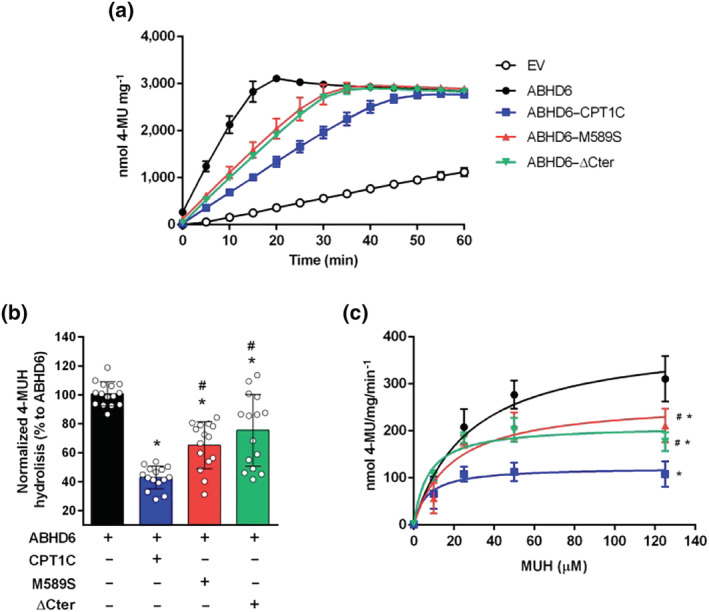 CPT1C regulates ABHD6 activity depending on malonyl–CoA sensing and CPT1C C‐terminus. (a) Time course of 4‐MUH hydrolysis by cells overexpressing empty vector (EV) and ABHD6, alone or in combination with CPT1C, M589S or ΔCter (n = 5). (b) Normalization of ABHD6 activity with ABHD6 protein expression levels at t = 10 min (n = 15). (c) ABHD6 activity dependent on 4‐MUH concentration at t = 10 min (n = 9). Data shown are means ± SD. *P < 0.05, significantly different from ABHD6; # P < 0.05, significantly different from ABHD6–CPT1C; one‐way ANOVA followed by Bonferroni's post hoc correction