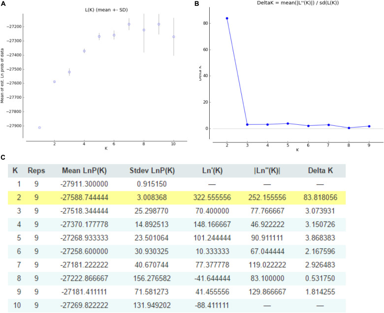 Graphical representation of the population structure. (A) K-values for different numbers of populations assumed (K) in the STRUCTURE analysis. (B) The median and variation of the estimated probability value for each K-value. (C) Evanno table output.