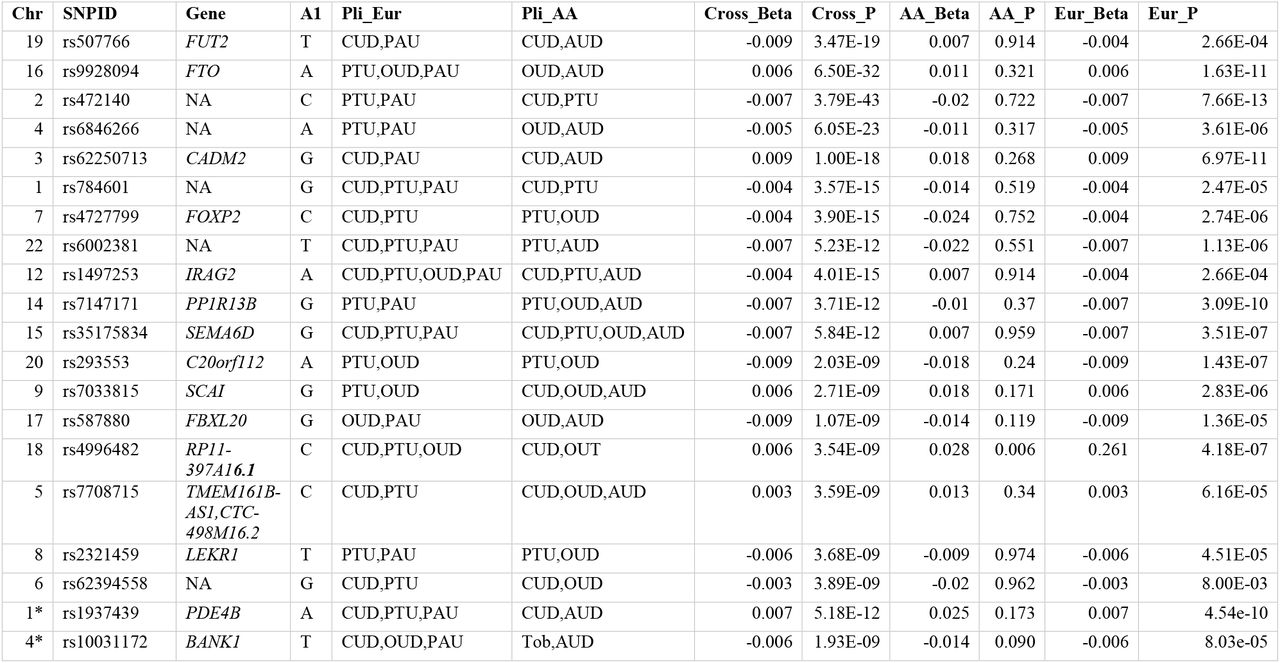 Results from Cross-Ancestry Meta-Analysis.Results from a random effects cross-ancestry meta-analysis conducted across the European and African ancestry samples with METAFOR. Significant top results from each chromosome are shown. European and African ancestry results were estimated with ASSET. Loci with any pleiotropic (pairwise or more) effect was included for each ancestral group. We took the top loci from each chromosome. We then searched for any loci that overlap with genes implicated in the European GWAS, noted by a * in the chromosome column. The individual betas from the input and the cross-ancestry beta are also shown and those with consistent effects across all ancestries and in the cross ancestry meta-analysis are highlighted in yellow. Chr=Chromosome, SNPID=rsid, GENE= the gene name if the SNP was on a gene (otherwise NA), Pli_Eur = Traits loci is pleiotropic for in Europeans, Pli_AA = Traits loci is pleiotropic for in Africans, Cross_Beta = Beta in cross ancestry analysis, Cross_P = P-value in Cross-Ancestry analysis, AA_Beta = Beta in Arican Ancestry, AA_P = P-value in Arican Ancestry, Eur_Beta = Beta in European ancestry analysis, Eur_P = Pvalue in European Ancestry analysis. CUD=Cannabis Use Disorder, PAU = Problematic Alcohol Use (European ancestry only), AUD = Alcohol Use Disorder (African ancestry only), PTU = Problematic Tobacco Use, OUD = Opioid Use Disorder.
