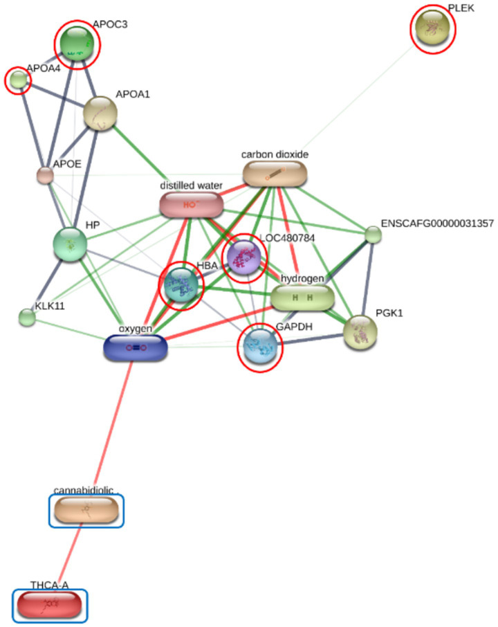 Network diagram depicting molecular interactions among proteins and compounds, with node labels such as APOC3, HBA, oxygen, and cannabidiol; different colors and red or blue outlined circles indicate experimental relevance or interaction types.